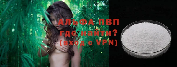 дживик Осташков