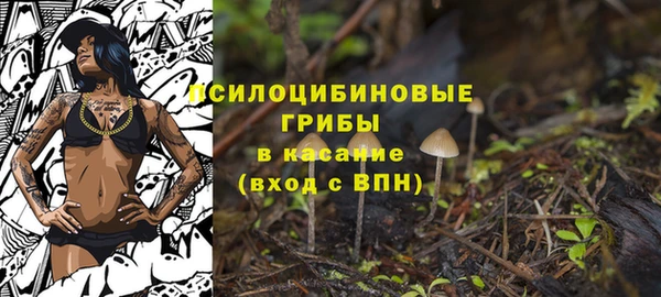 дмт Козловка