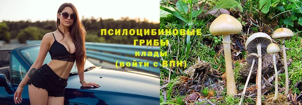дживик Осташков